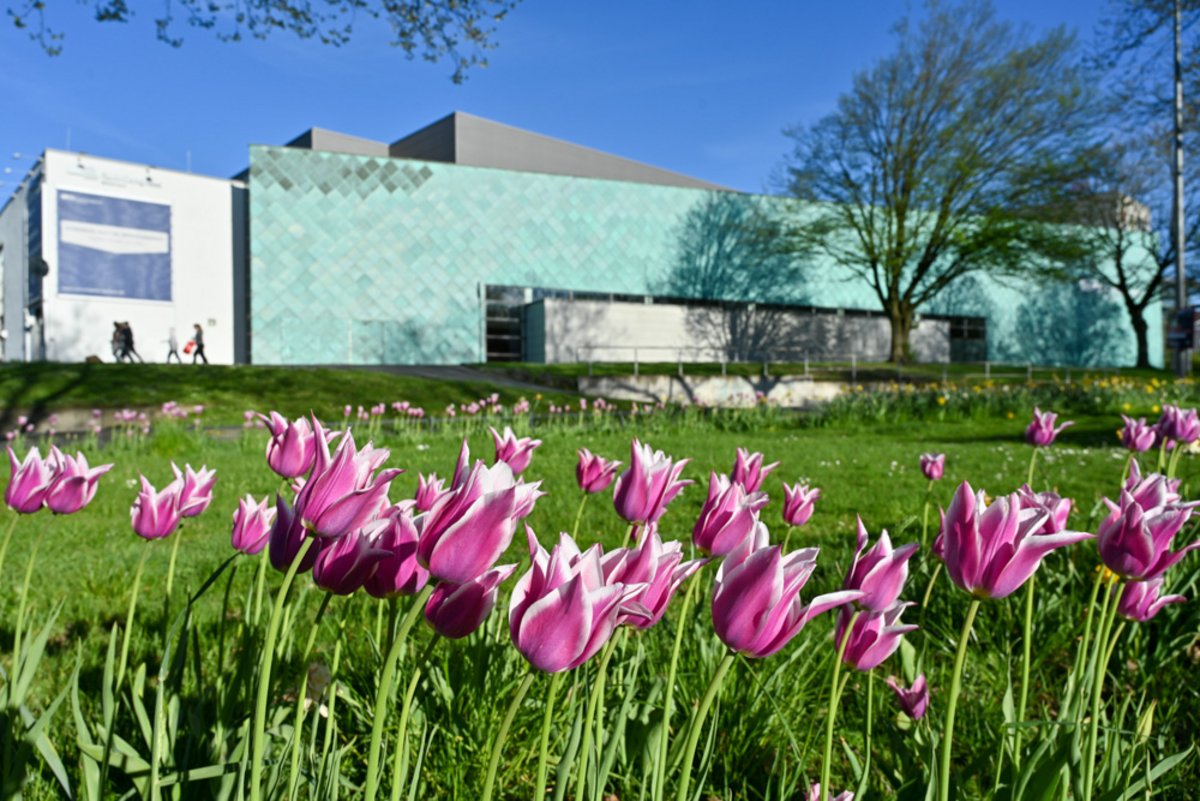 Im Hintergrund ist der RuhrCongress Bochum zu sehen. Im Vordergrund sieht man eine Tulpenwiese
